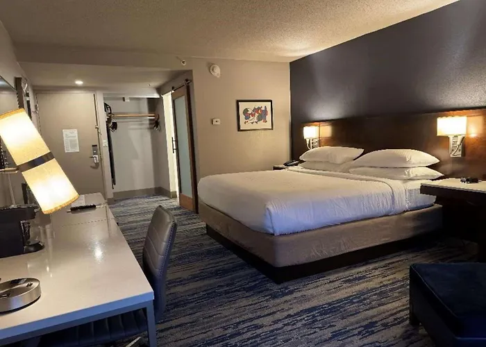 Skyline Hotel Detroit Airport, Surestay Collection By Best Western Romulus